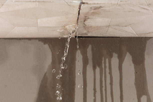 Professional Water Damage Repair technician working in Delta, OH